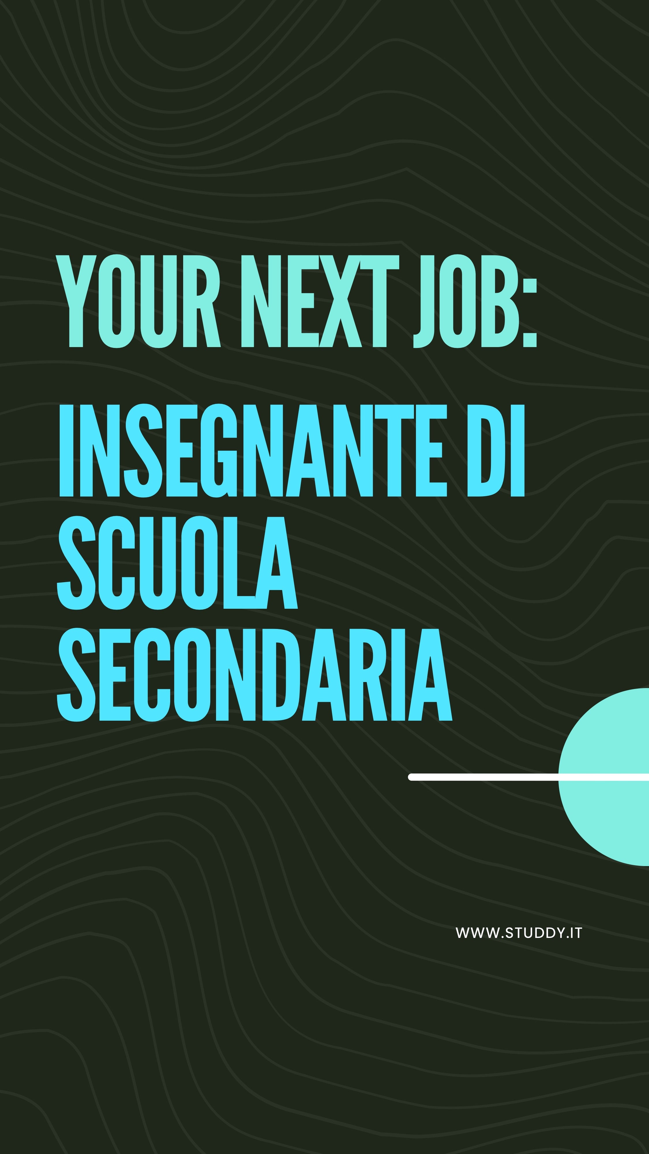 Insegnante scuola secondaria