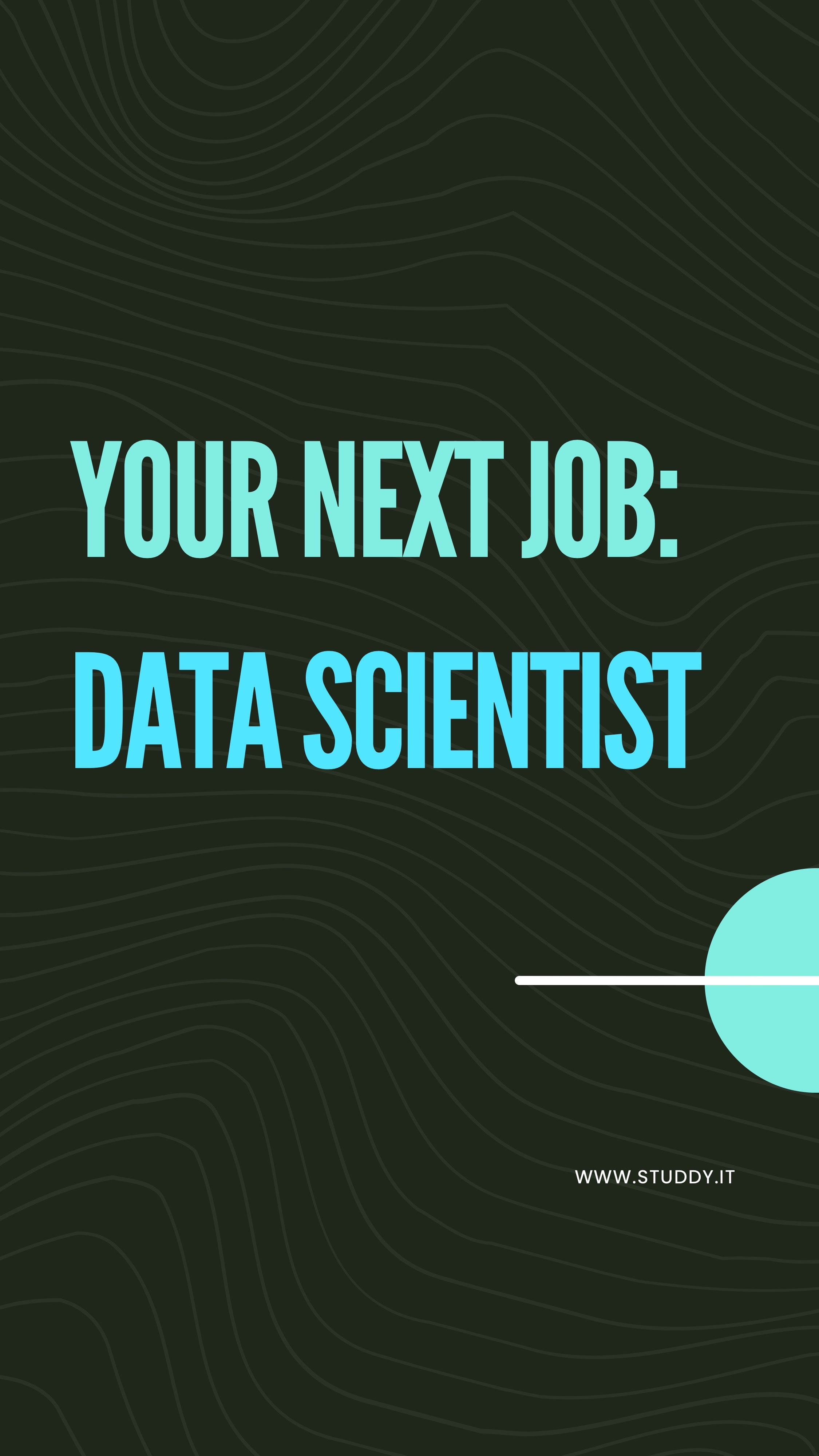 Data scientist