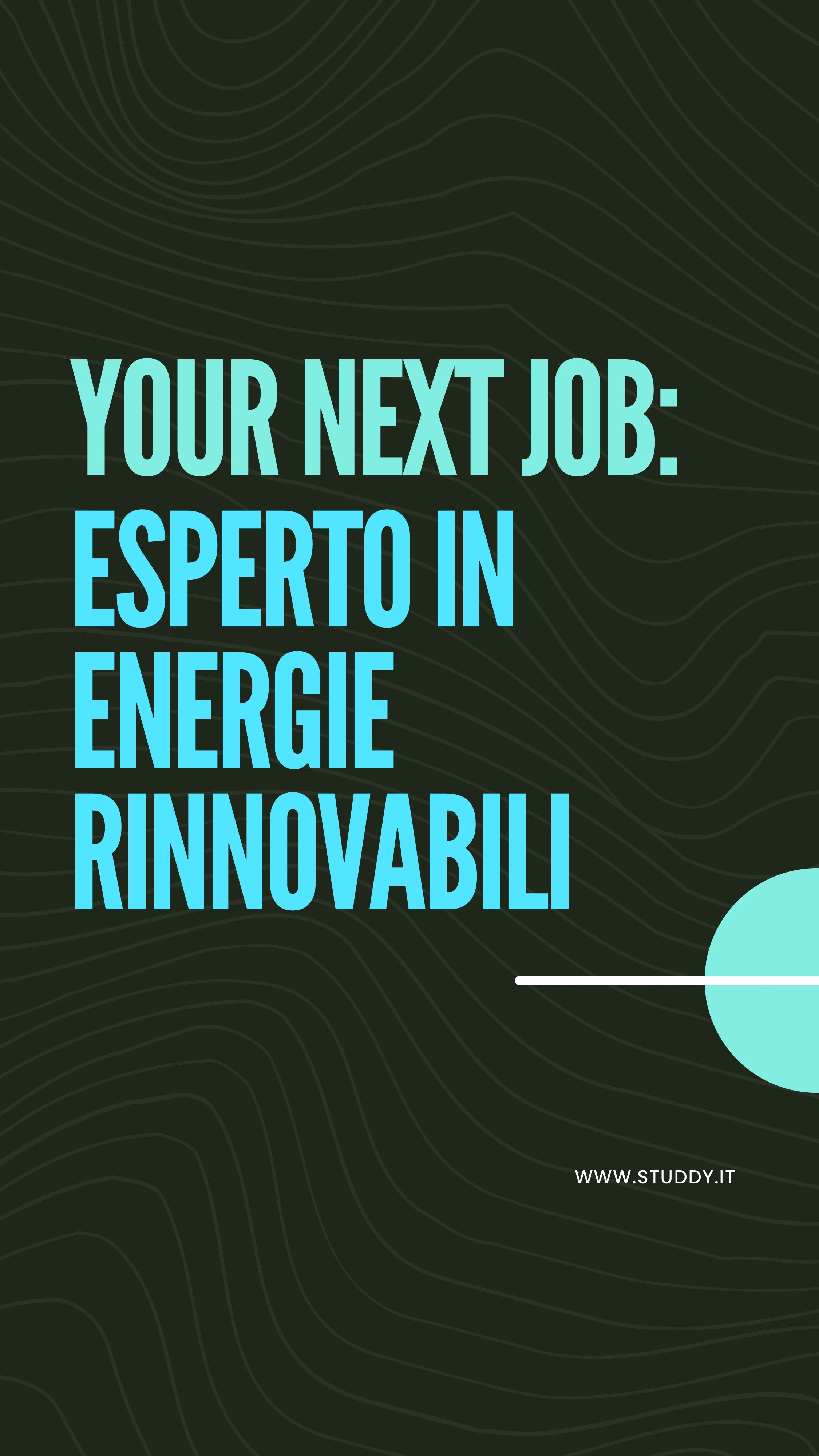 Esperto in energie rinnovabili