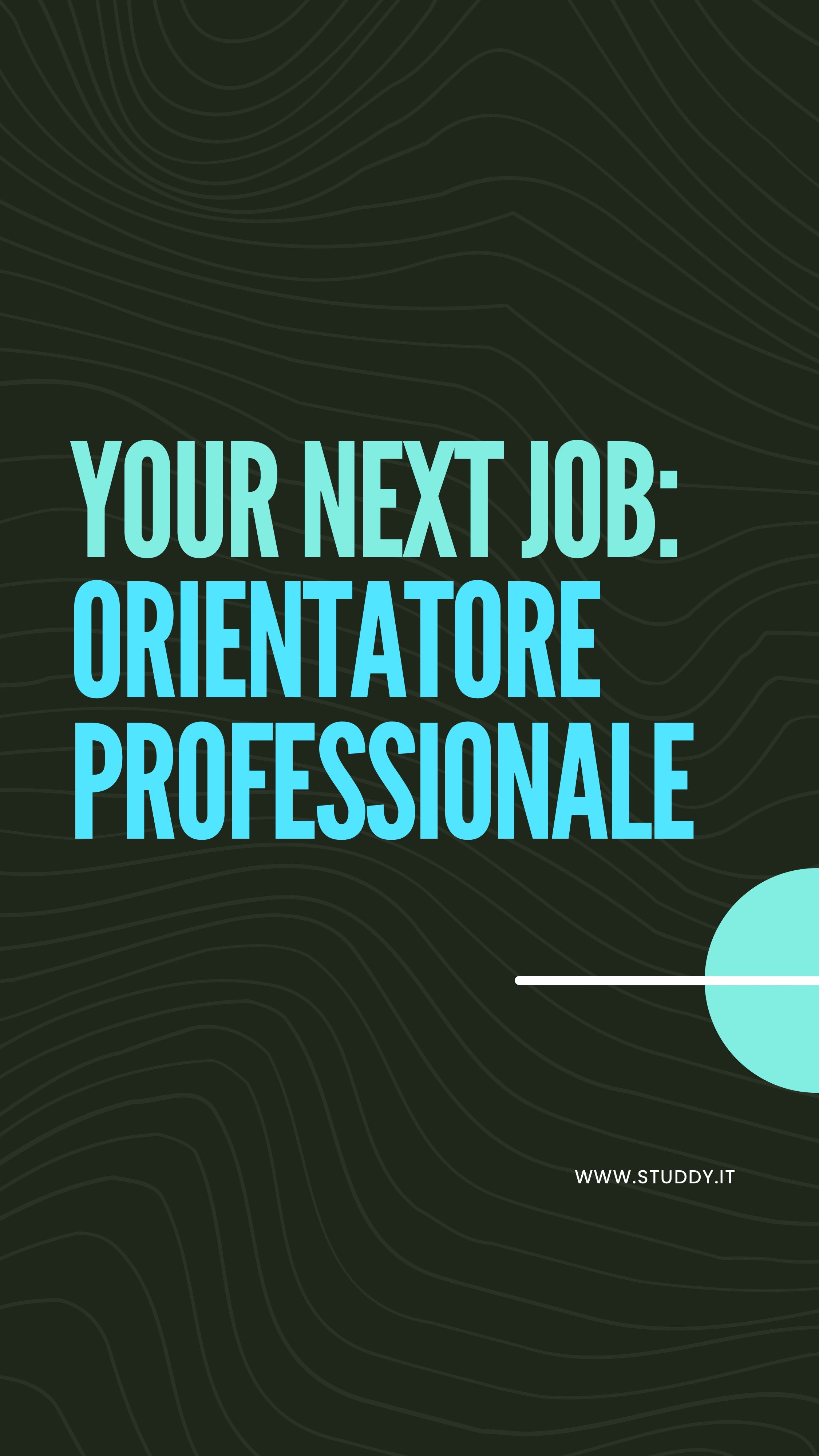 Orientatore professionale