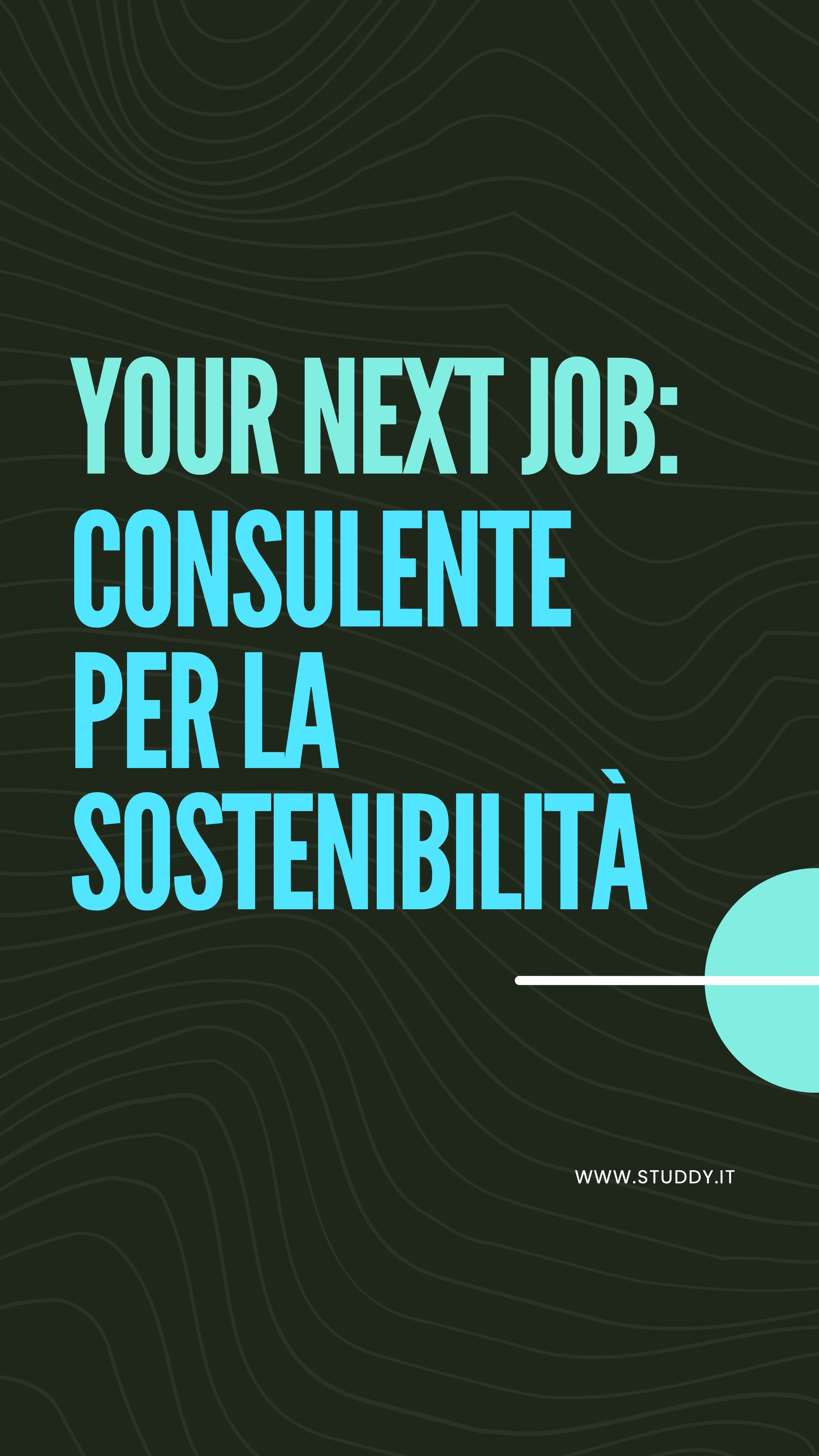 Consulente per la sostenibilità