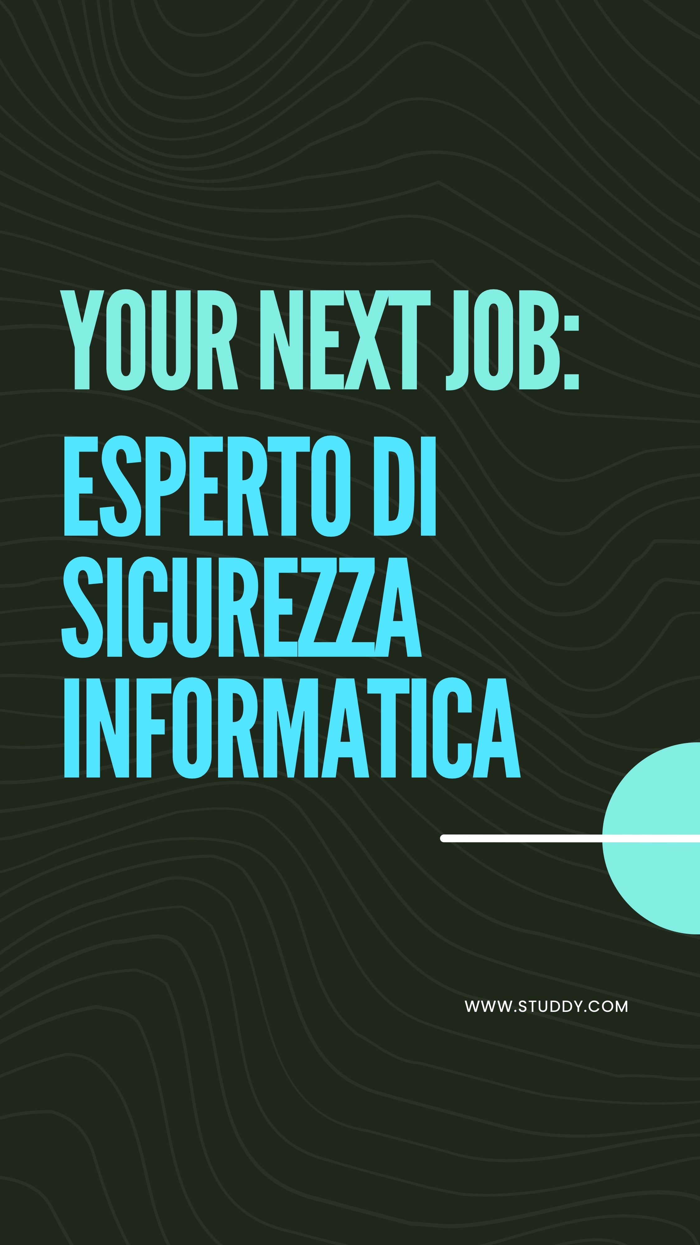 Esperto di sicurezza informatica