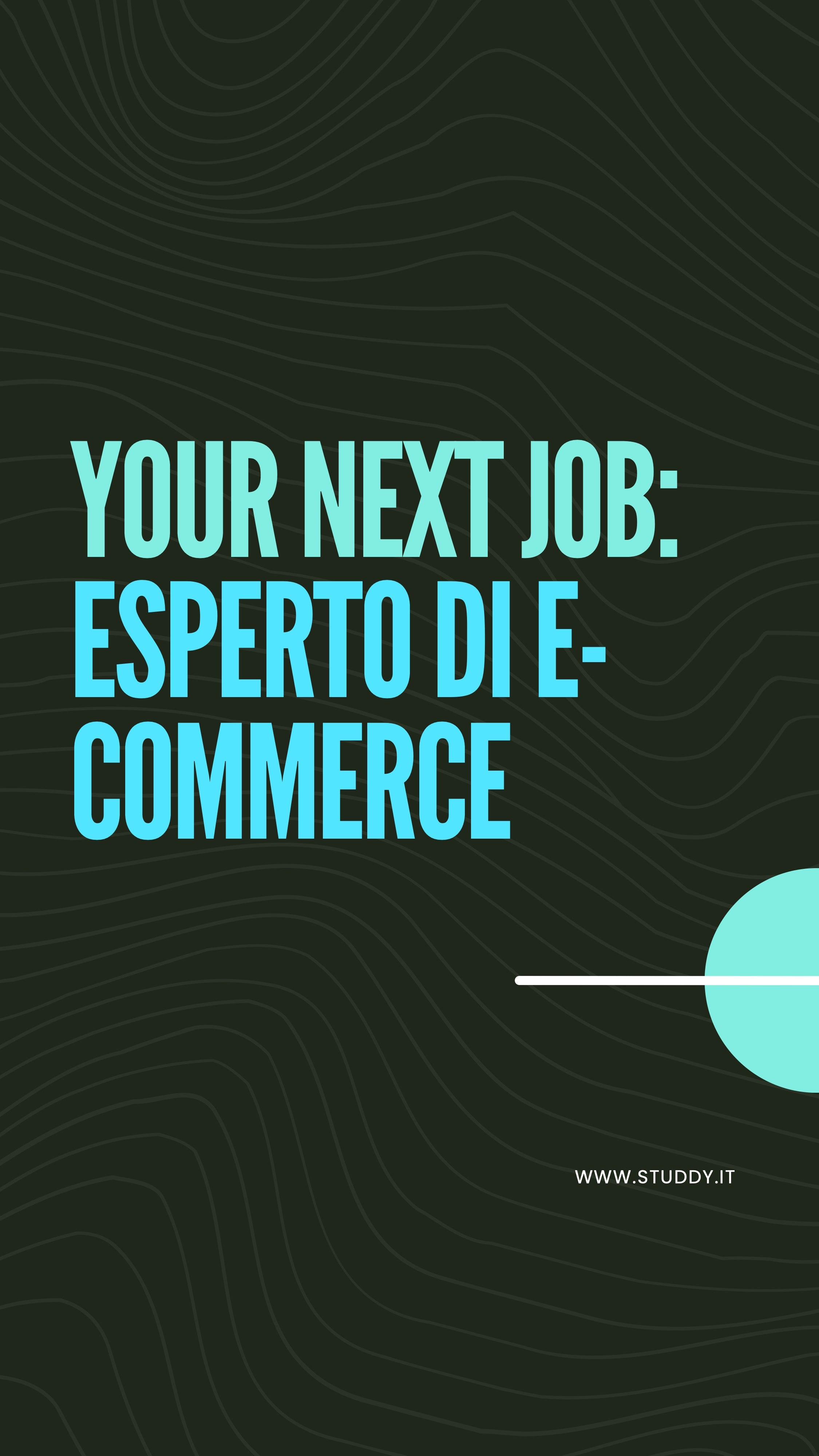 Esperto di E-commerce