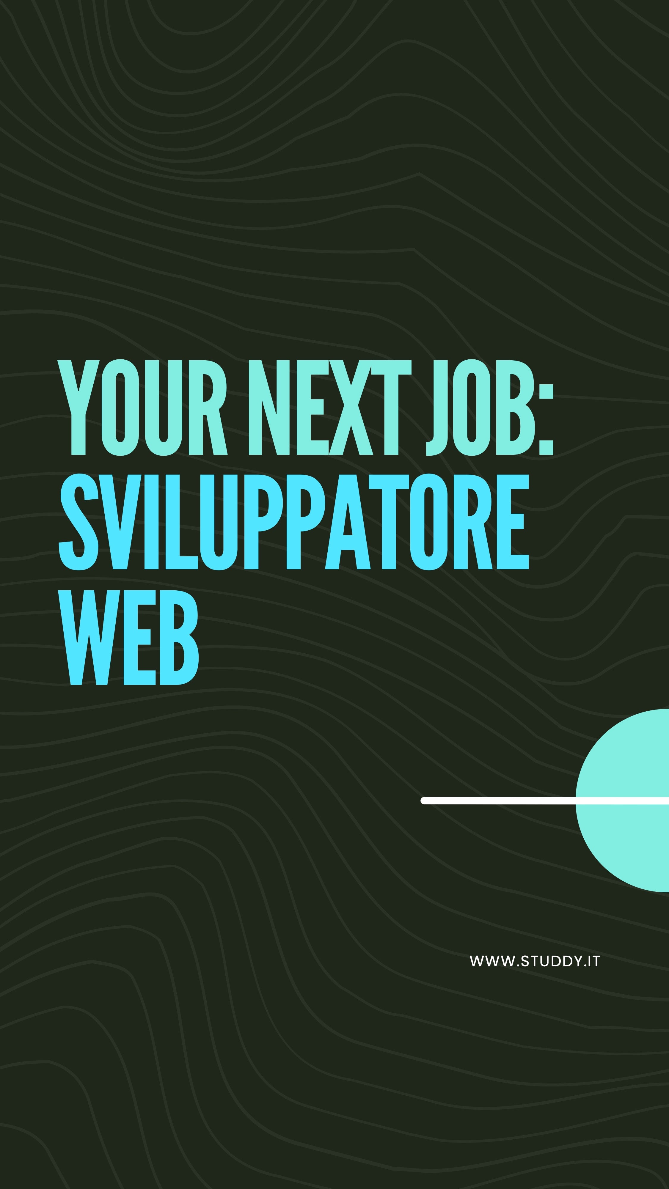 Sviluppatore web