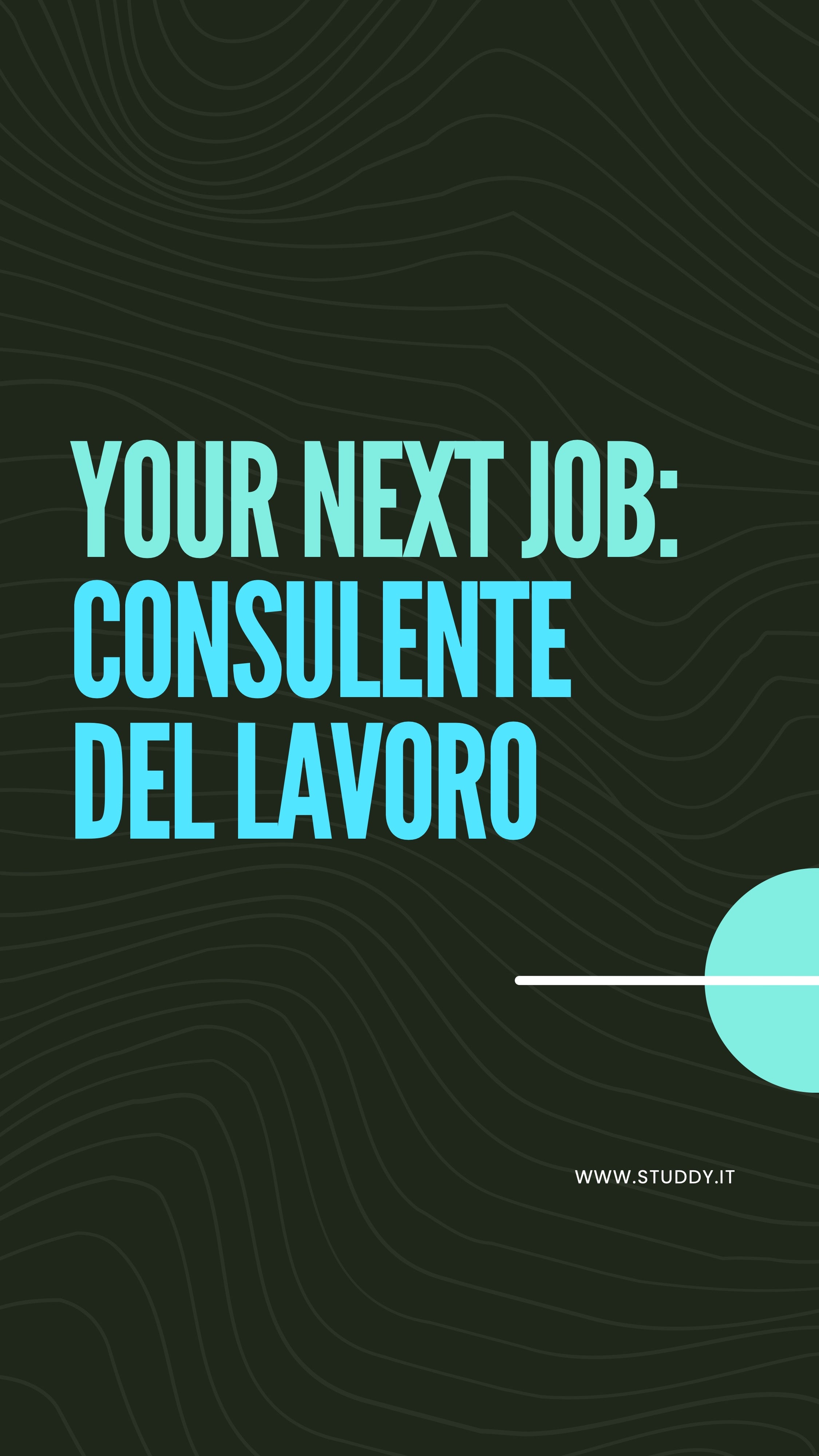 Consulente del lavoro