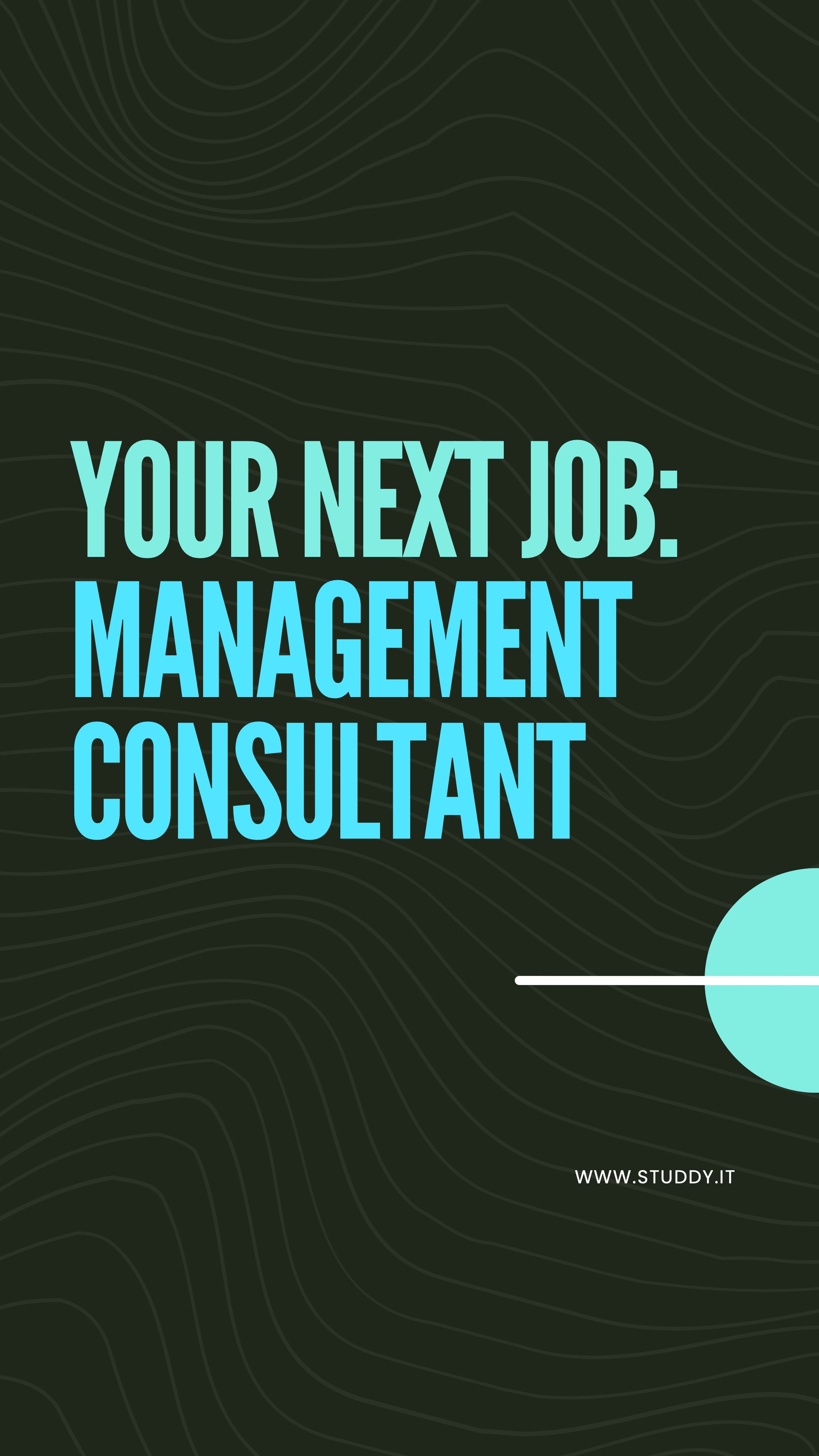 Management consultant