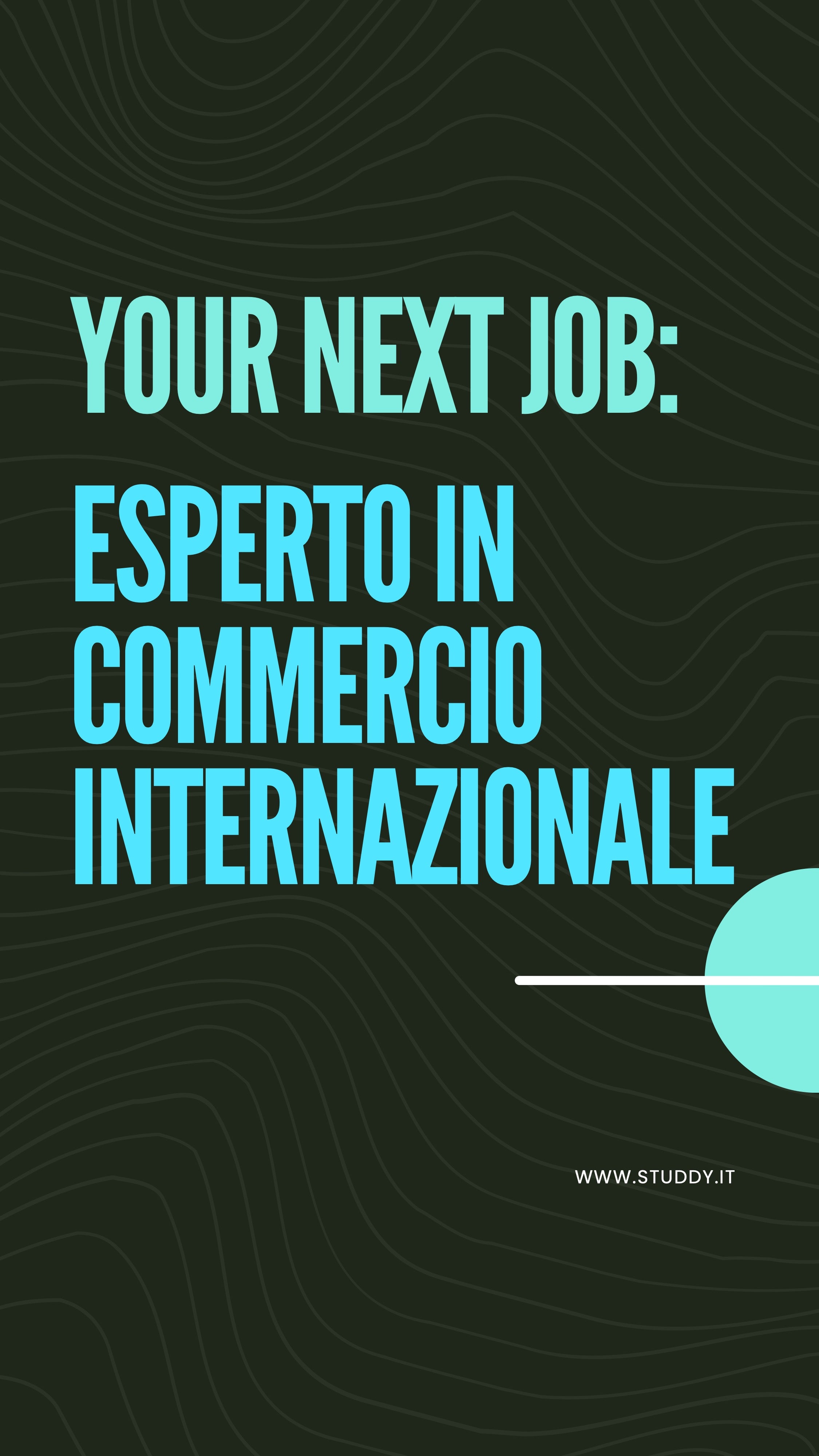 Esperto in commercio internazionale