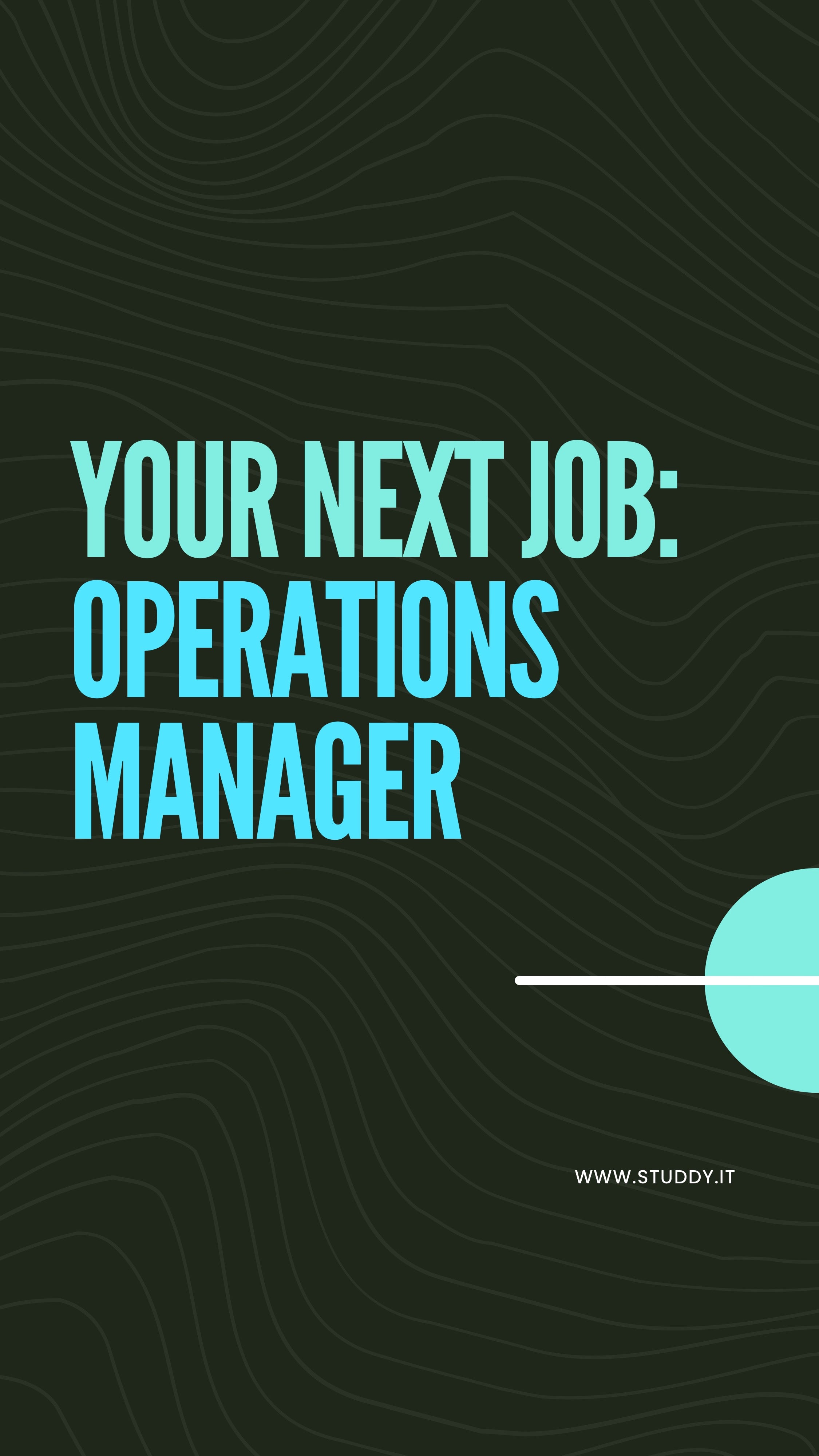 Operations manager