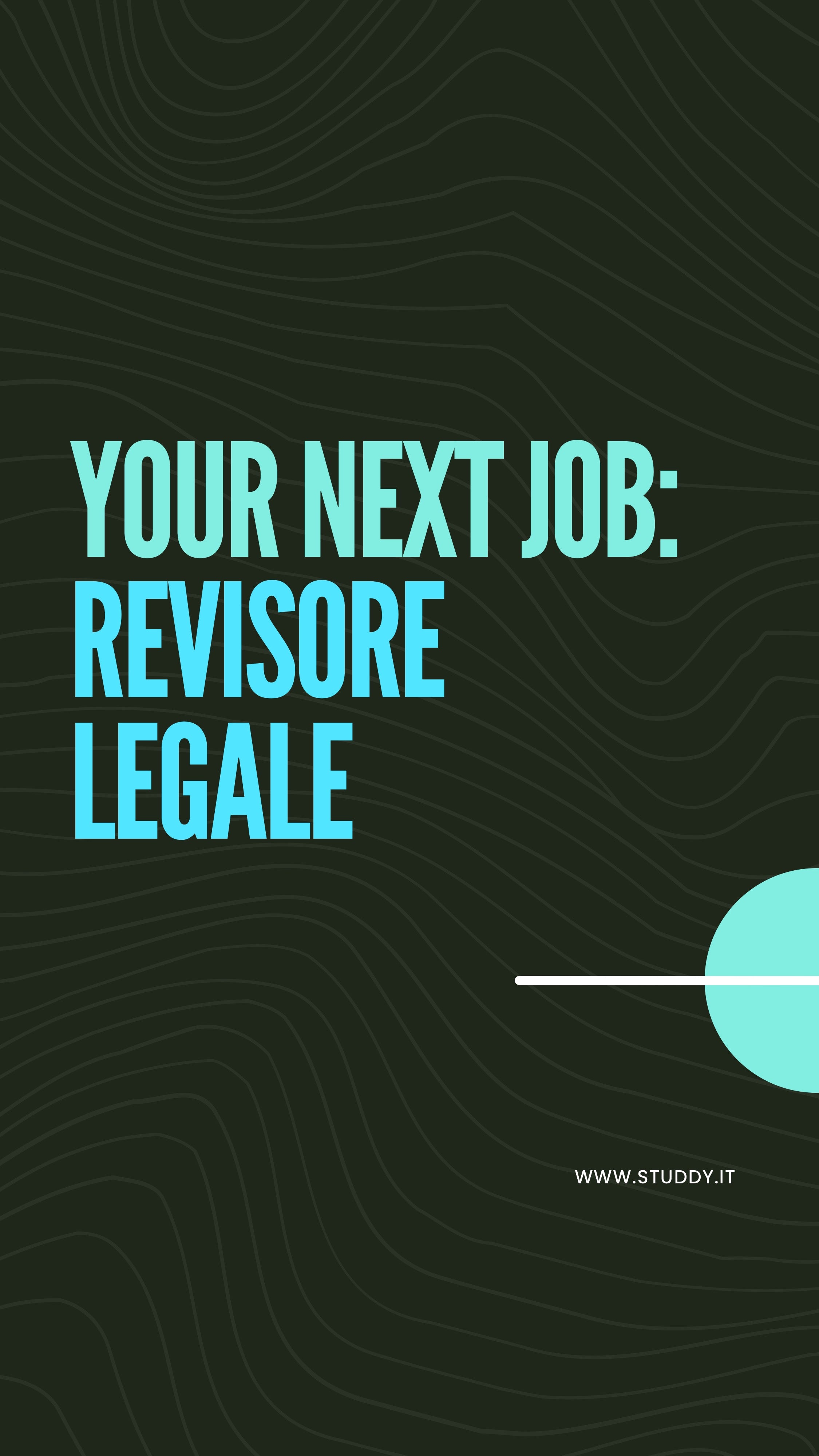 Revisore legale
