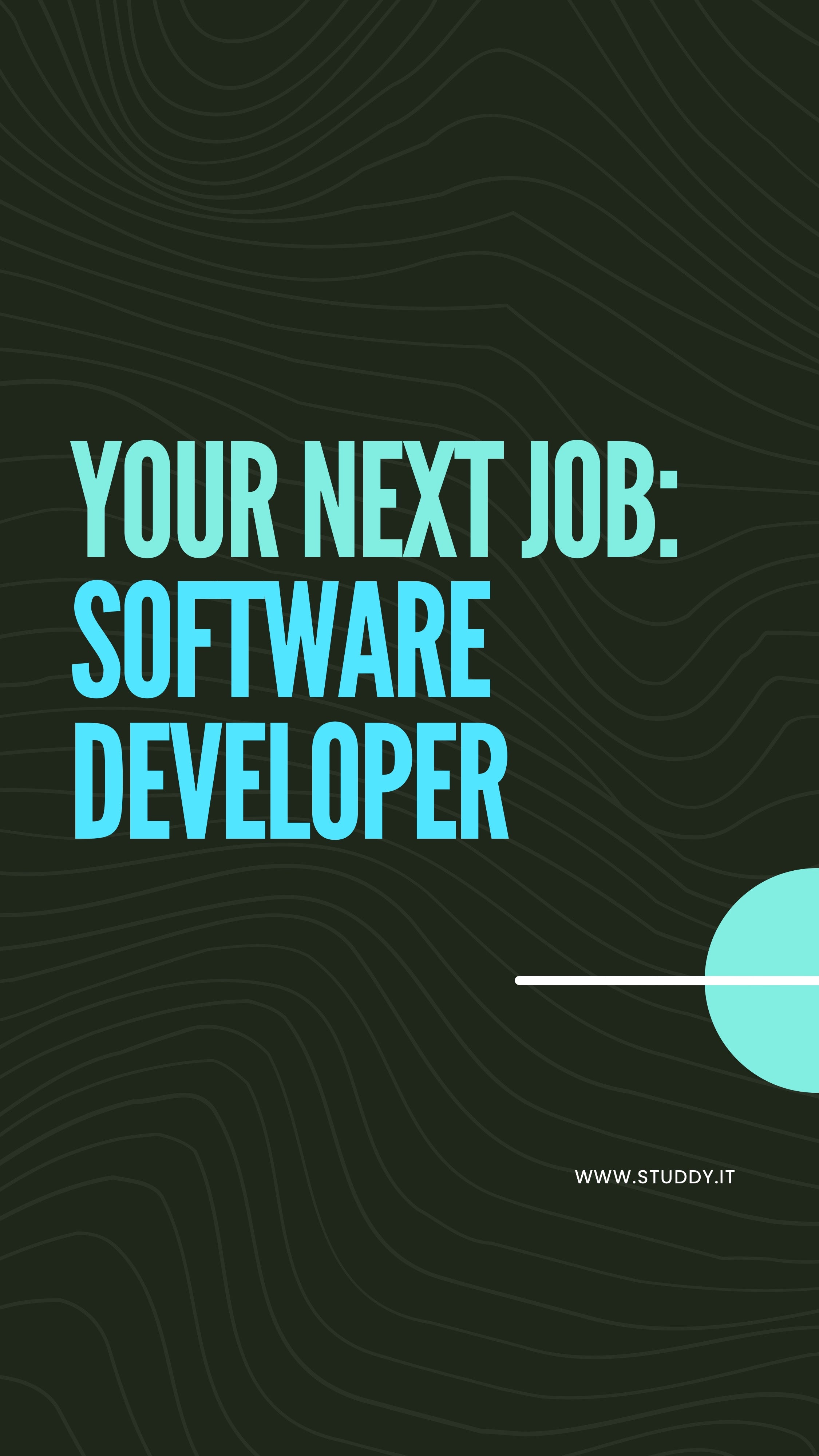 Software developer