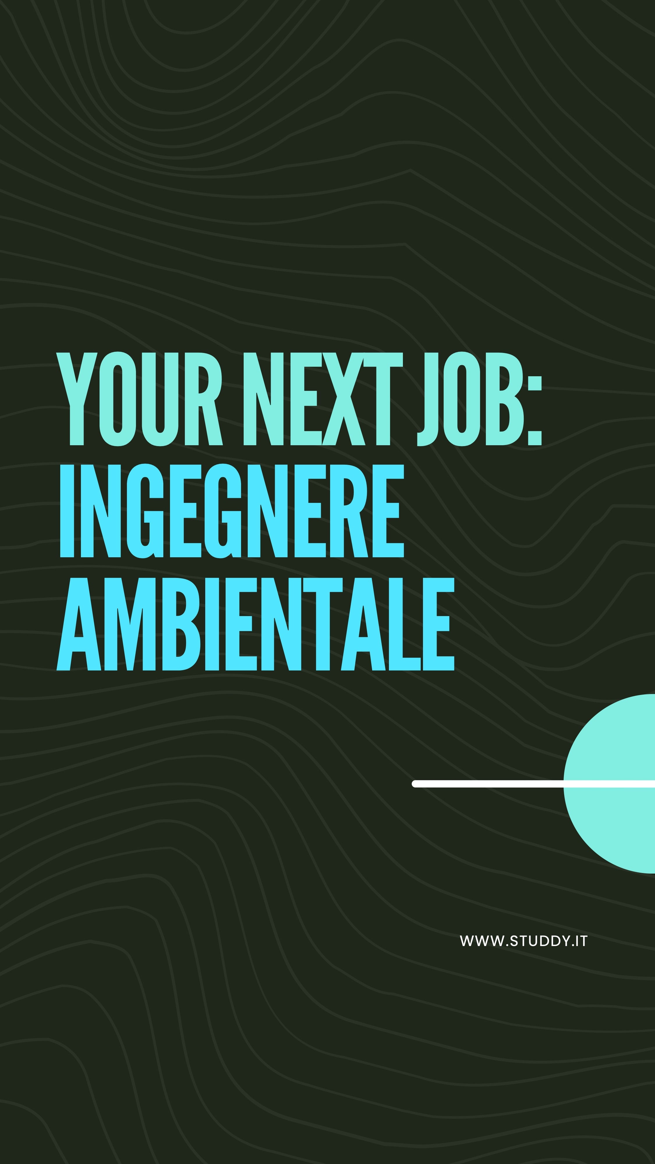 Ingegnere ambientale